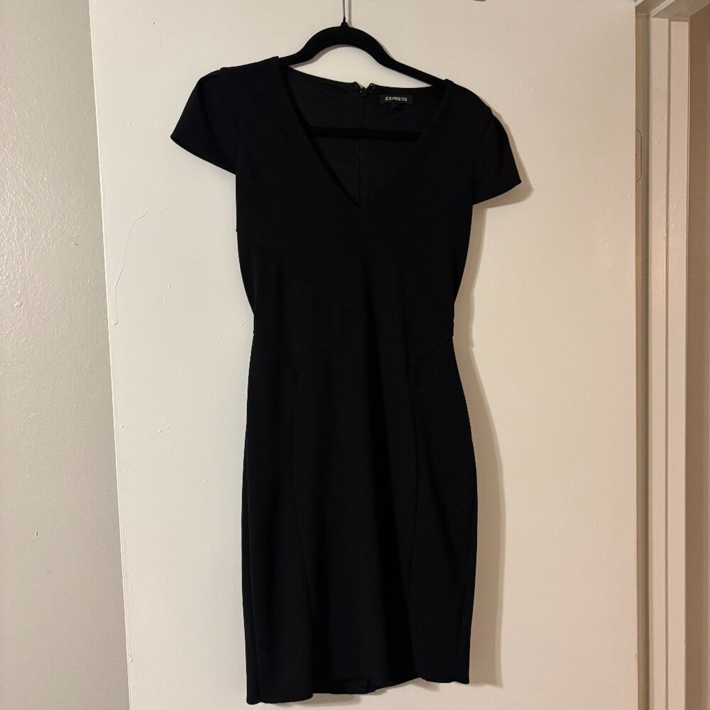 Express Bodycon Dress